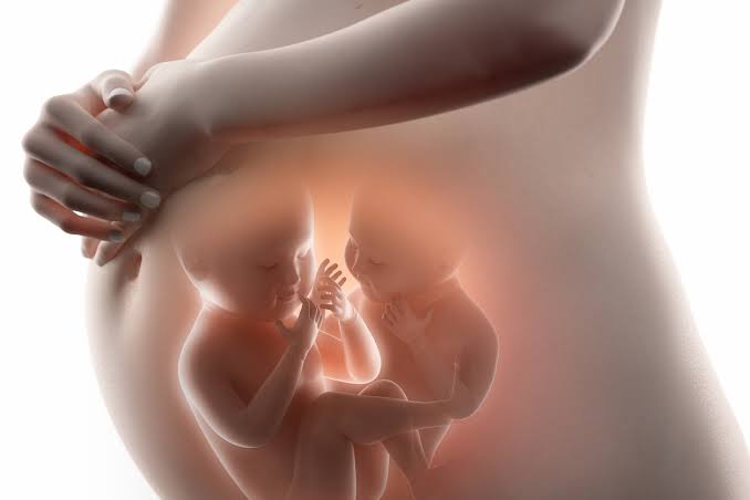3D/4D Sonography